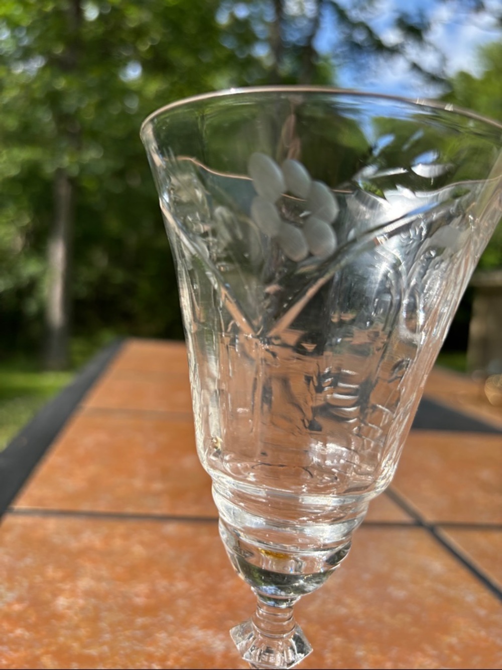 Rock Sharpe "Marshfield" Etched Crystal Water Glass/Water Goblet- Set of 3 - Picture 6 of 8